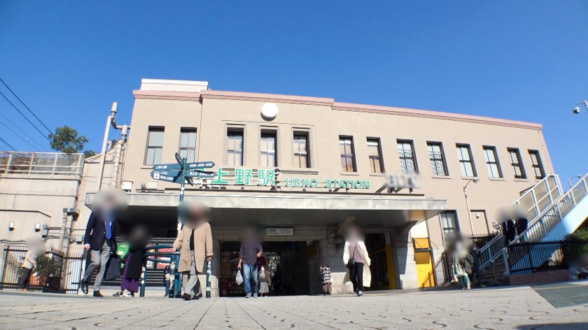 美術館デートから豹変！上品な24歳インテリア女子が奥まで繋がって喘ぎ狂うギャップの一部始終。